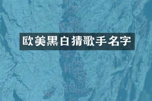 欧美黑白猜歌手名字