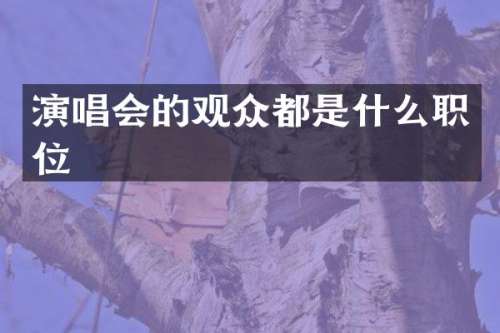 演唱会的观众都是什么职位