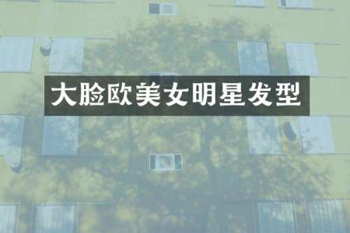 大脸欧明星发型