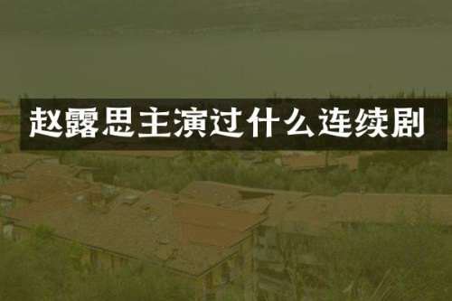 赵思主演过什么连续剧