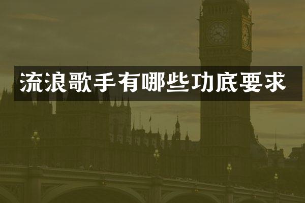 流浪歌手有哪些功底要求