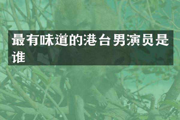 最有味道的港台男演员是谁