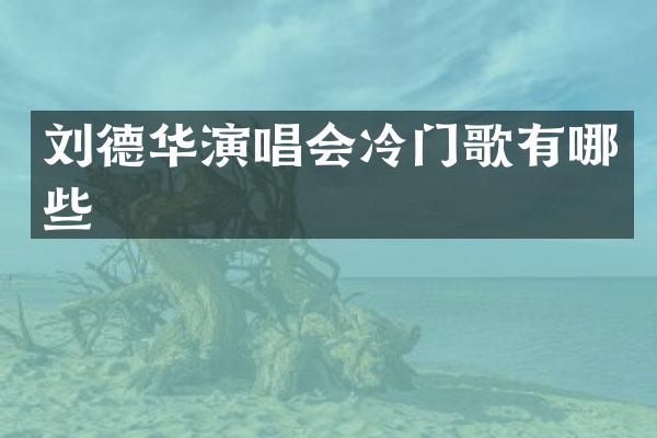 刘德华演唱会冷门歌有哪些