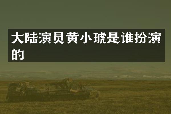 大陆演员黄小琥是谁扮演的