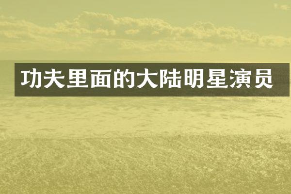 功夫里面的大陆明星演员