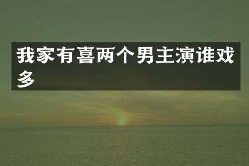 我家有喜两个男主演谁戏多