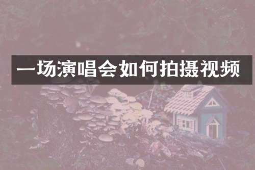 一场演唱会如何拍摄视频