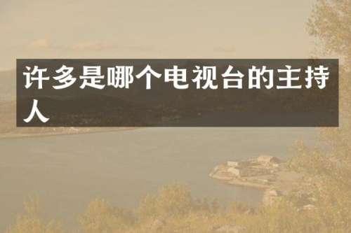 许多是哪个电视台的主持人