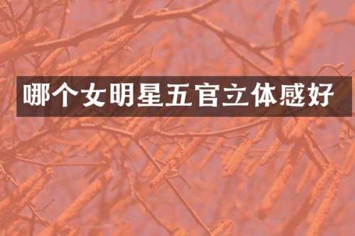 哪个女明星五官立体感好