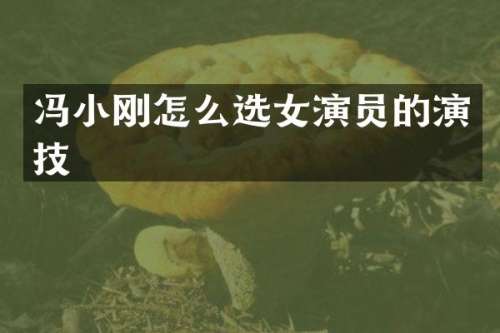 冯小刚怎么选女演员的演技