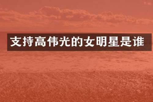 支持高伟光的女明星是谁
