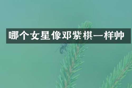 哪个女星像邓紫棋一样帅