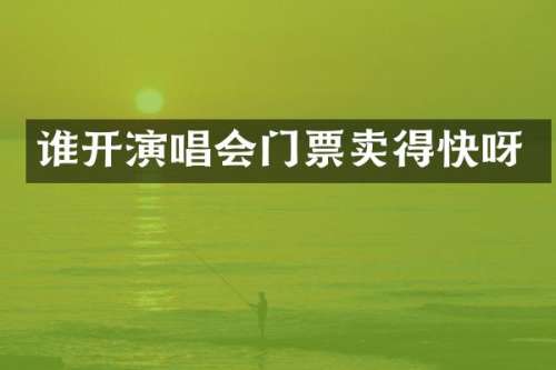 谁开演唱会门票卖得快呀