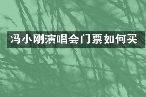 冯小刚演唱会门票如何买