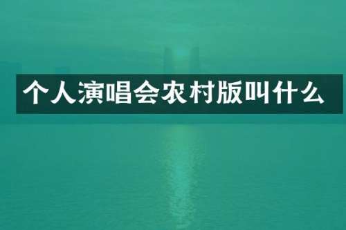 个人演唱会农村版叫什么