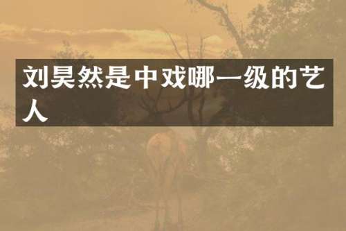 刘昊然是中戏哪一级的艺人