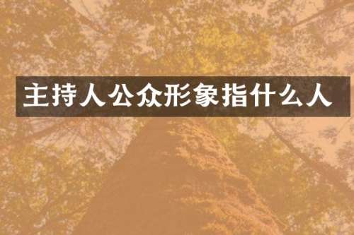 主持人公众形象指什么人