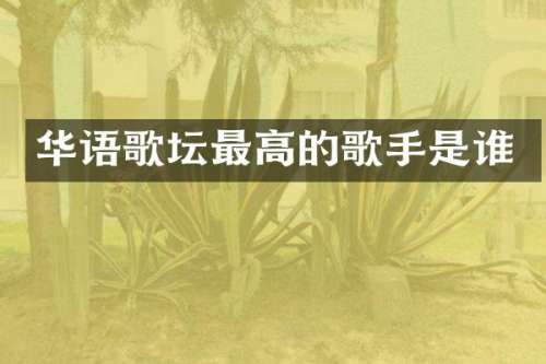 华语歌坛最高的歌手是谁