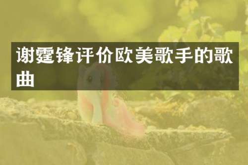 谢霆锋评价欧美歌手的歌曲