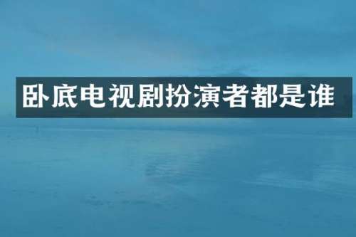 卧底电视剧扮演者都是谁