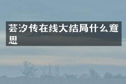 传在线大结局什么意思