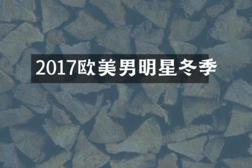 2017欧美男明星冬季