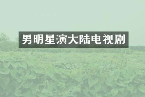男明星演大陆电视剧