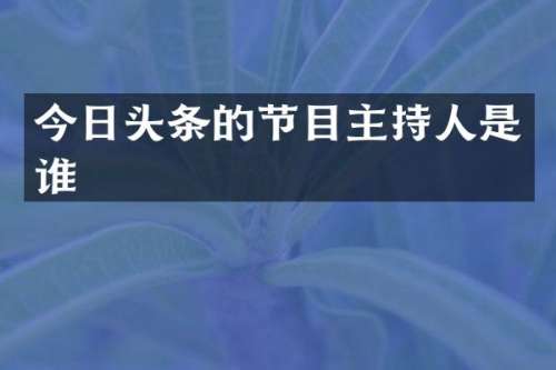 今日头条的节目主持人是谁