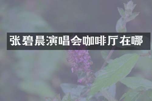 张碧晨演唱会咖啡厅在哪