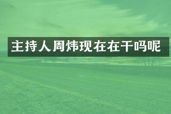 主持人周炜现在在干吗呢