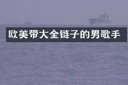 欧美带大金链子的男歌手