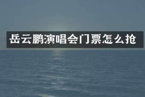 岳云鹏演唱会门票怎么抢