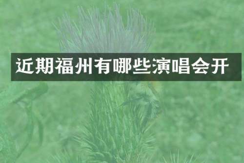 近期福州有哪些演唱会开