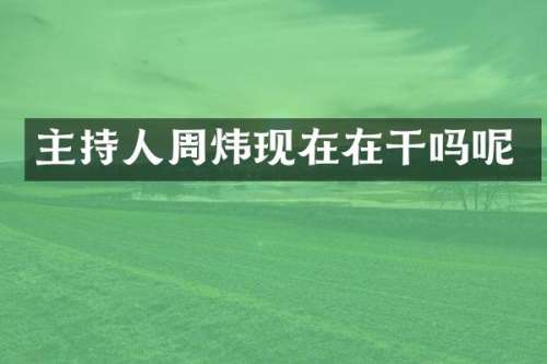 主持人周炜现在在干吗呢