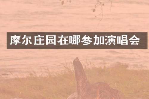 摩尔庄园在哪参加演唱会