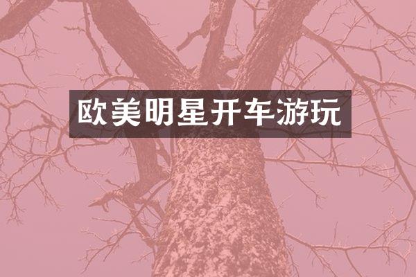 欧美明星开车游玩