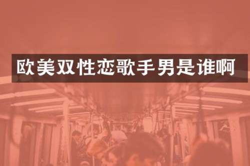 欧美双性恋歌手男是谁啊