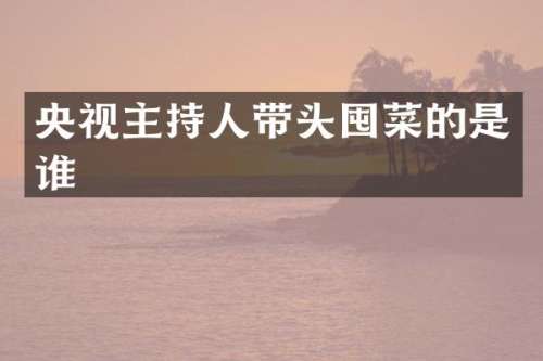 央视主持人带头囤菜的是谁