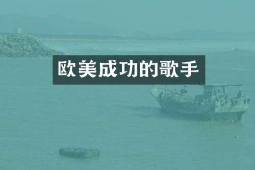 欧美成功的歌手