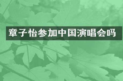 章子怡参加中国演唱会吗