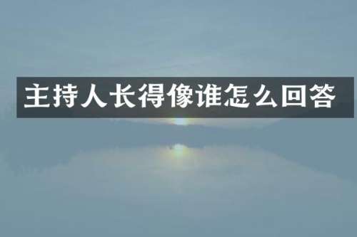 主持人长得像谁怎么回答