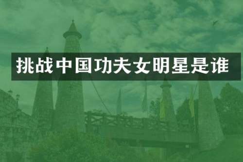 挑战中国功夫女明星是谁