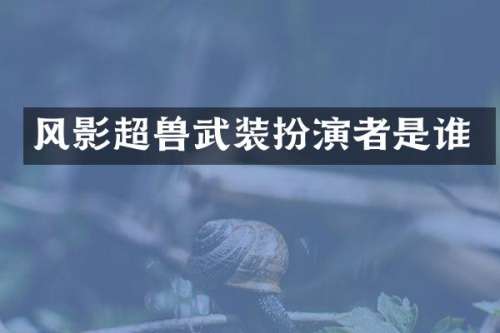 风影超兽武装扮演者是谁