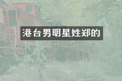 港台男明星姓郑的
