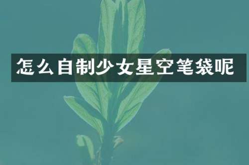 怎么自制少女星空笔袋呢