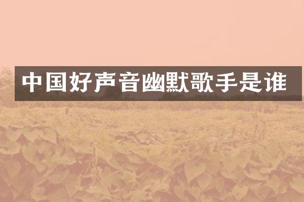 中国好声音幽默歌手是谁
