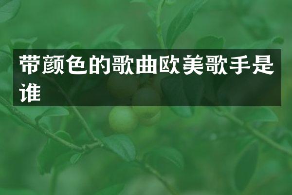 带颜色的歌曲欧美歌手是谁
