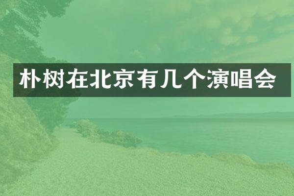 朴树在北京有几个演唱会