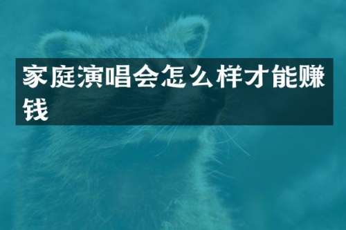 家庭演唱会怎么样才能赚钱