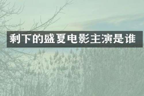 剩下的盛夏电影主演是谁
